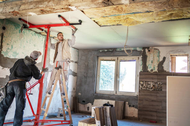Best Insulation for New Construction  in Poplarville, MS