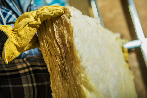 Best Local Insulation Services  in Poplarville, MS