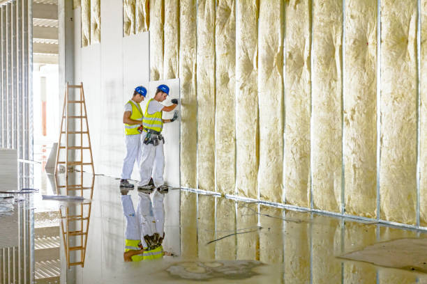 Best Energy-efficient Insulation  in Poplarville, MS